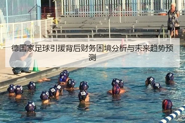 de-guo-jia-zu-qiu-yin-yuan-bei-hou-cai-wu-kun-jing-fen-xi-yu-wei-lai-qu-shi-yu-ce-2-145.jpg